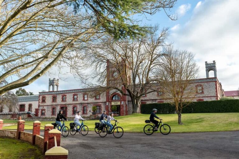 Barossa Valley: Gourmet Food and Wine E-Bike Tour - Why This Tour Offers Excellent Value