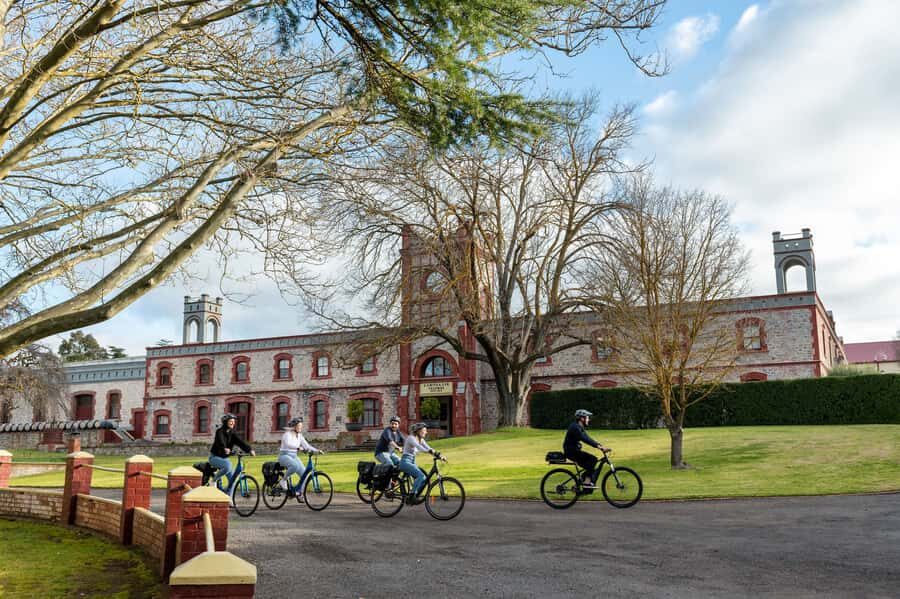 Barossa Valley: Gourmet Food and Wine E-Bike Tour - Why This Tour Offers Excellent Value