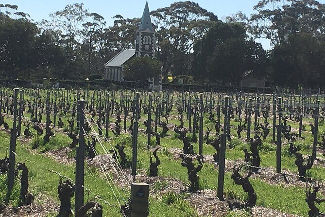 Barossa Valley Private Luxury Tour Full Day - The Value Proposition