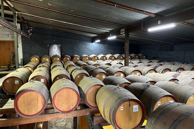 Barossa Valley Private Luxury Tour Half Day - Transportation and Timing
