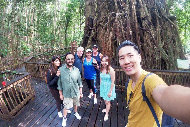 Barron Gorge and Kuranda National Park Half Day Rainforest and Waterfall 4WD Tour from Cairns - The Transport and Guides