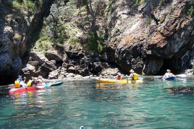 Batemans Bay Glass-Bottom Kayak Tour Over 2 Relaxing Hours - Exploring the Batemans Bay Glass-Bottom Kayak Tour