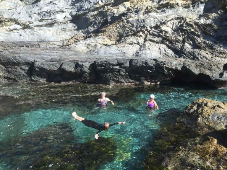 Batemans Bay: Half-Day Sea Kayak Tour - Why Choose This Sea Kayak Tour?