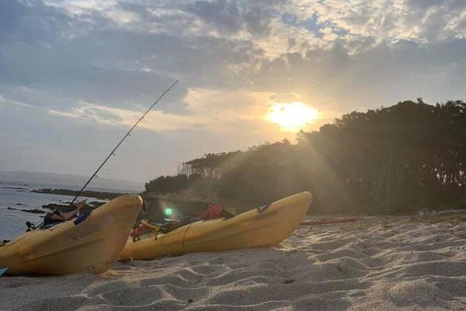 Batemans Bay Overnight Kayak Camping Tour from Canberra - All Inclusive - Potential Drawbacks to Keep in Mind