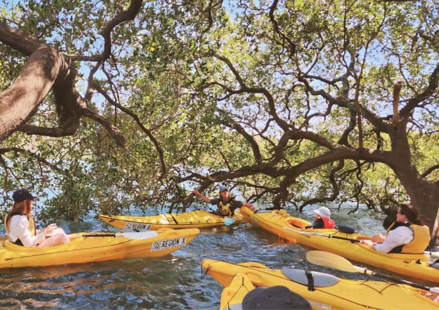 Batemans Bay: Oyster Tasting Kayak Tour - Who Will Love This Tour?