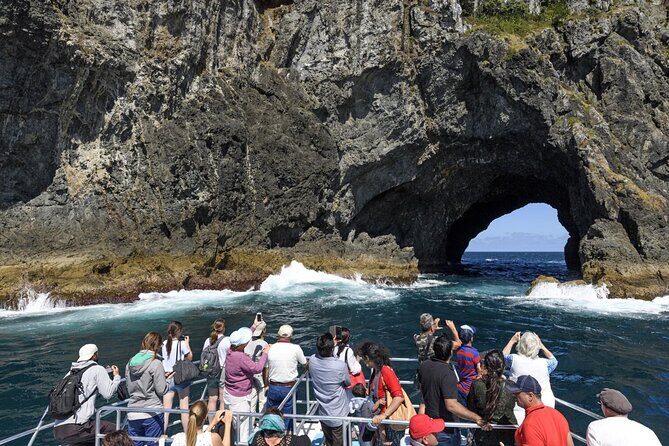 Bay of Island Day Tour with Hole in the rock cruise from Auckland - What Travelers Say