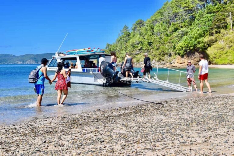 Bay of Islands: 4.5 Hour Day Cruise and Island Getaway Tour - An Overview of the Itinerary and What You’ll Experience