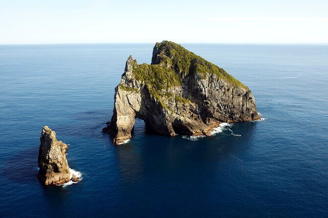 Bay of Islands Cruise & Island Tour - Snorkel, Hike,Swim,Wildlife - The Value for Money