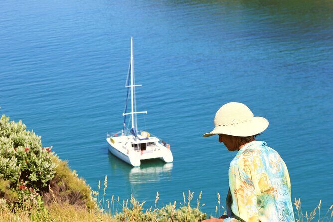 Bay of Islands: Day Sailing Cruise with Island Stop and Lunch - In-Depth Breakdown of the Itinerary