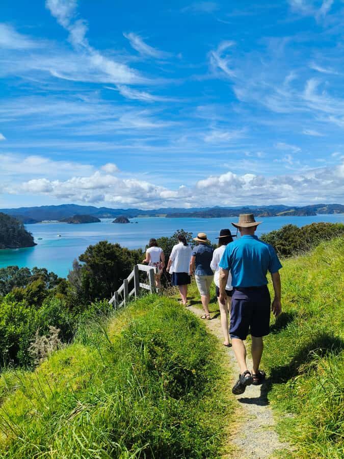 Bay of Islands: Day Sailing Cruise with Island Stop & Lunch - The Sailing Experience