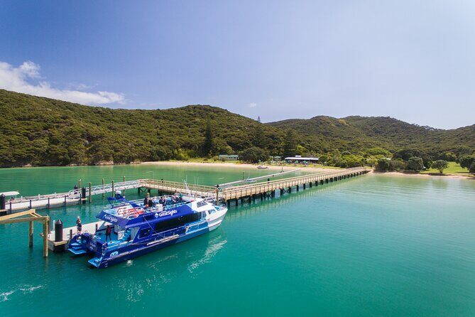 Bay of Islands Discovery Experience from Auckland incl. Hole In The Rock Cruise - The Cruise to the Hole in the Rock