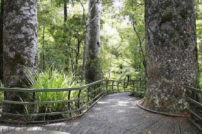 Bay of Islands - Explorer Tour - History Comes Alive at Kerikeri Mission Station