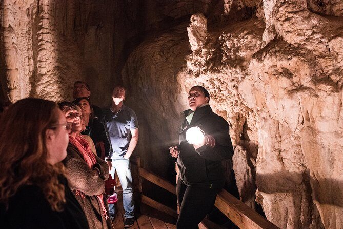 Bay of Islands Glow Worm Caves & Scenic Shore Excursion - FAQs