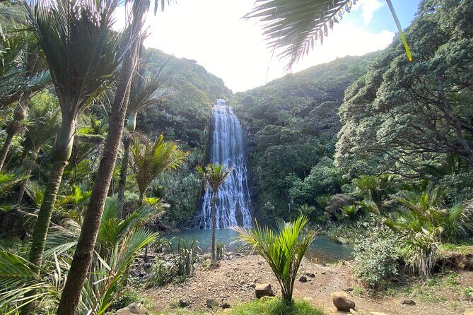 Bay of the Boisterous Seas Piha & Karekare - Detailed Breakdown of the Itinerary