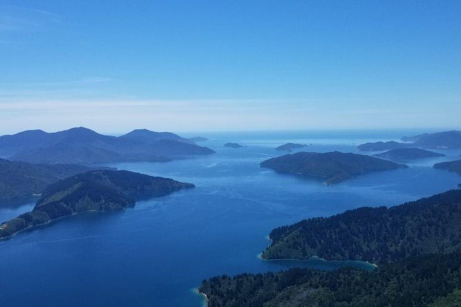 Bays and Bush Flight Scenic Tour - Who Will Love This Tour?
