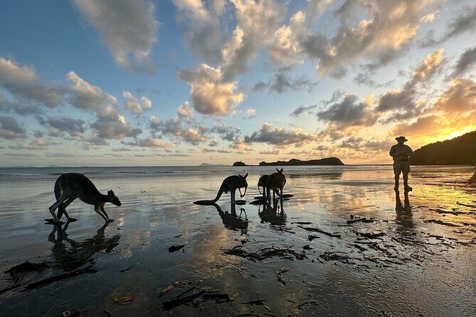 Beach Sunrise with the Wallabies - Final Thoughts