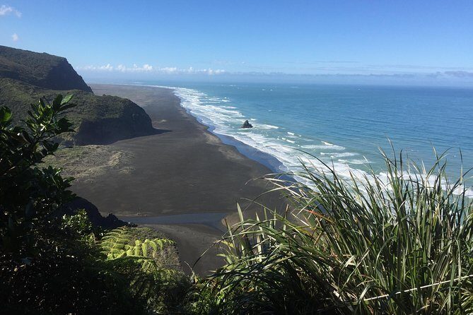 Beautiful Nature Tours Auckland - Private Tour - Final Thoughts: Who Will Love This Tour?