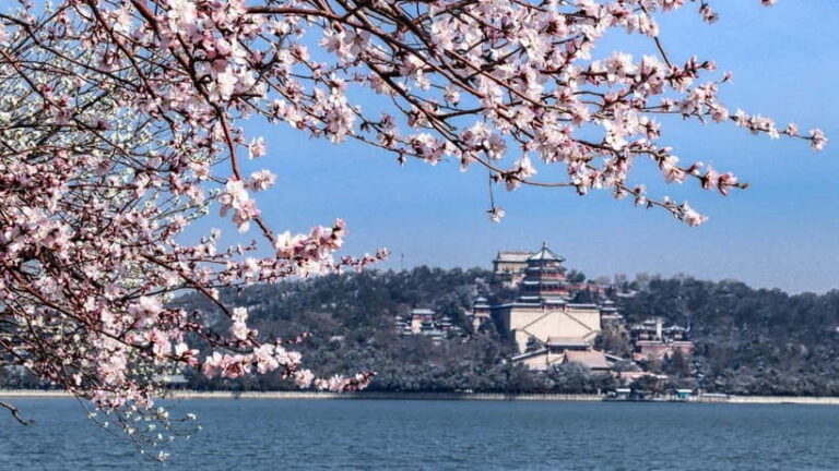 Beijing: Summer Palace Entry Ticket and Optional Guided Tour - The Experience in Action: What You’ll See and Do