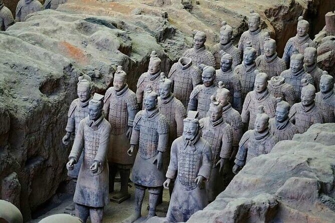 Beijing to Xi'an Terracotta Warriors Day Trip with Bullet Train - Who is this tour best for?