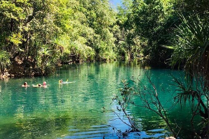 Berry Springs + Crocodile Cruise + Rooftop Sunset - Why This Tour Works for Travelers