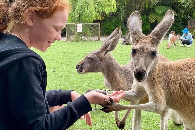 Bespoke Perth City and Surrounds Day Tour - What Makes This Tour Stand Out?