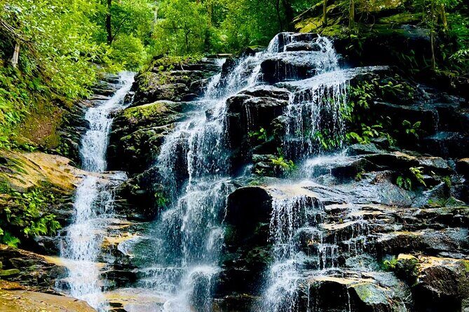Best Blue Mountains Full Day Tour-Optional Sydney Zoo&Leura Town - What Sets This Tour Apart