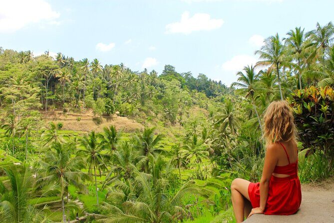 Best of Bali in 3 Days - Private Tour Package - Exploring Bali in Three Days: The Realities