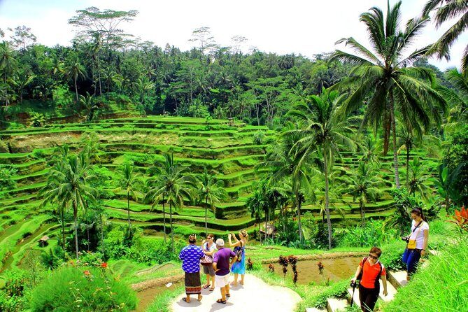 Best of Bali Tour - All Inclusive - Summary