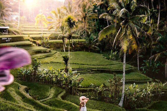 Best of Bali Ubud Sightseeing All Inclusive Private Tour - Lunch at DAlas Warung