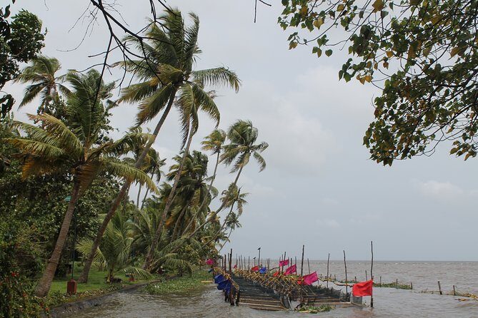 Best of Kerala - Day 1: Exploring Kochis Historic Heart
