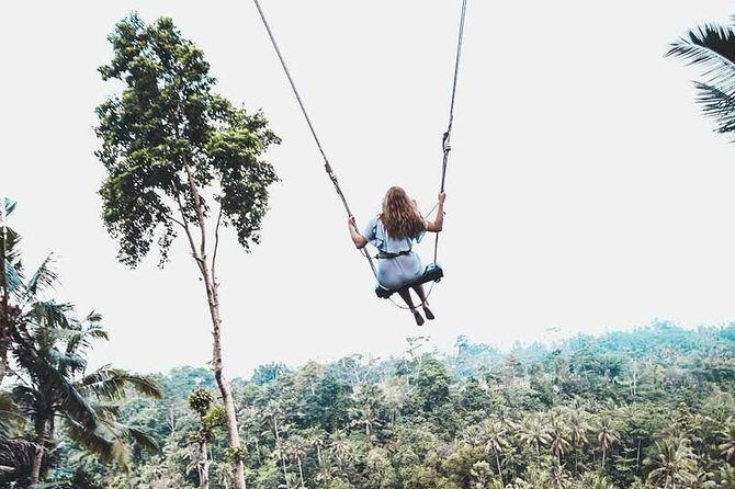 Best of Ubud Private Tour with Jungle Swing Experience - What’s Included and What’s Not
