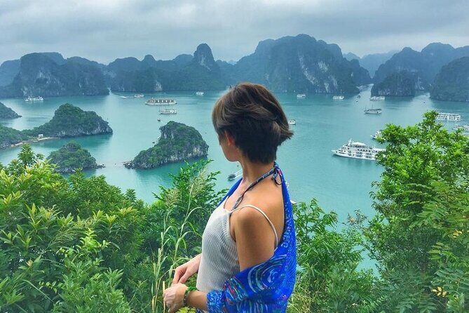 Best Seller Halong Bay Day Tour: Cruise, Lunch, Island and Cave - Analyzing the Tour’s Value