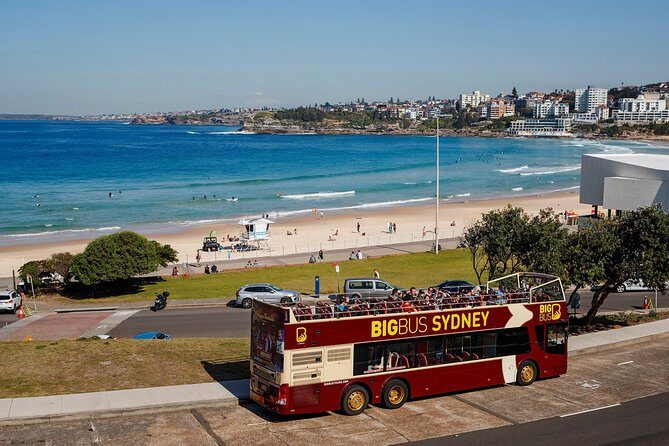 Big Bus Sydney and Bondi Hop-on Hop-off Tour - Who Is This Tour Best For?