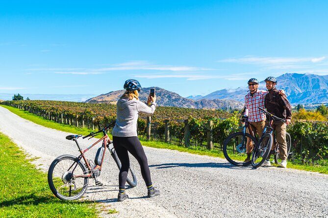 Bike The Wineries (1/2 Day) - Quick Pedal to Pinot - The Bottom Line: Is It Worth It?