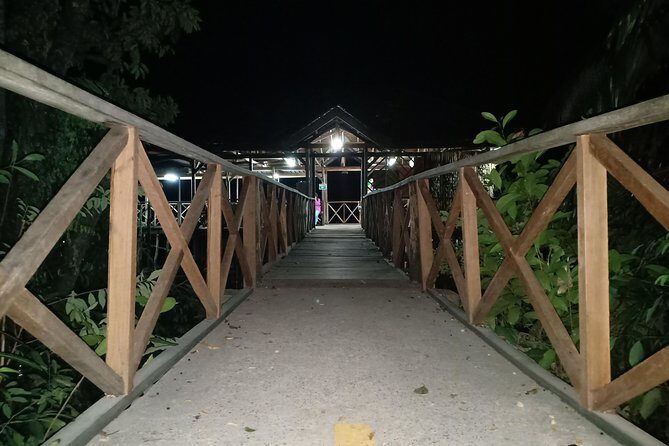 Bintan Fireflies Discovery Tour - Why This Tour Stands Out