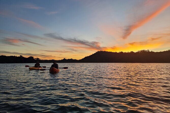 Bioluminescence Kayak Tour - Est. 1994 - The Sum Up