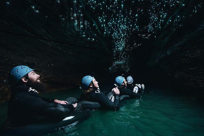 Black Abyss: Ultimate Waitomo Caving - Private Tour from Auckland - The Itinerary in Detail