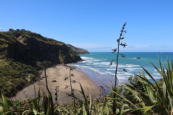Black Sand Beaches & Birds Auckland Sightseeing Tour - Authentic Experiences and What Travelers Say