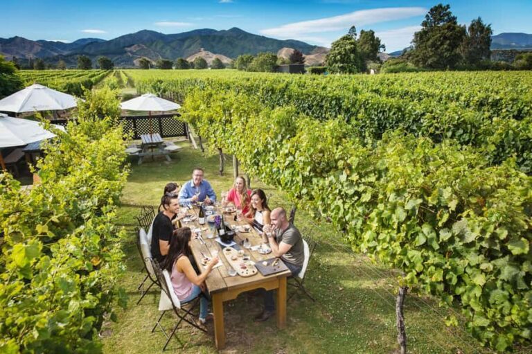 Blenheim/Renwick: Marlborough Half-Day Wine Tour with Lunch - Why This Tour Excels