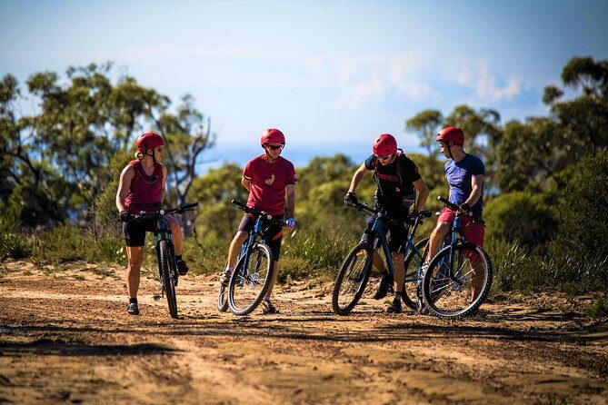 Blue Labyrinth PRIVATE Tour: Sydney Blue Mountains by E-Bike - The Route and Highlights