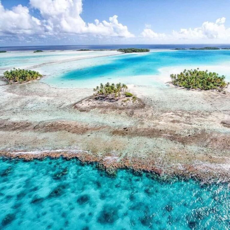 Blue Lagoon Eco-Tour, Avatoru Pass Snorkeling, Secret Green Lagoon - Snorkeling in Shark Bay: Safe Encounters with Blacktip Sharks
