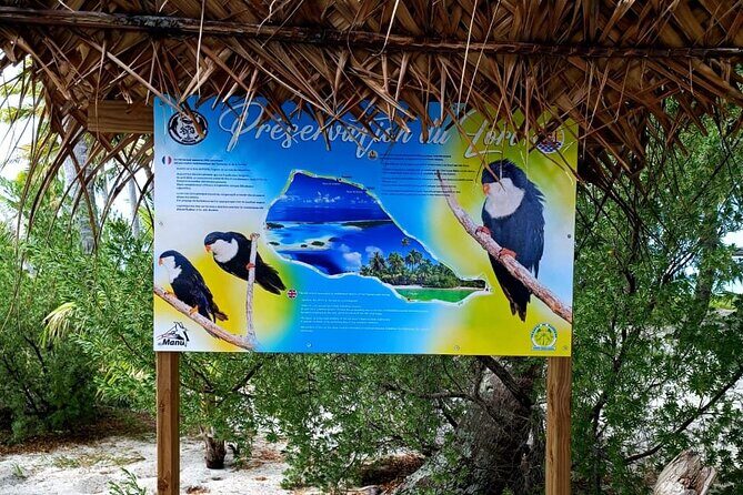 BLUE LAGOON | Eco-tour | Snorkeling Avatoru | Secret Green Lagoon - Snorkeling in the Bay of Sharks: A Marine Marvel