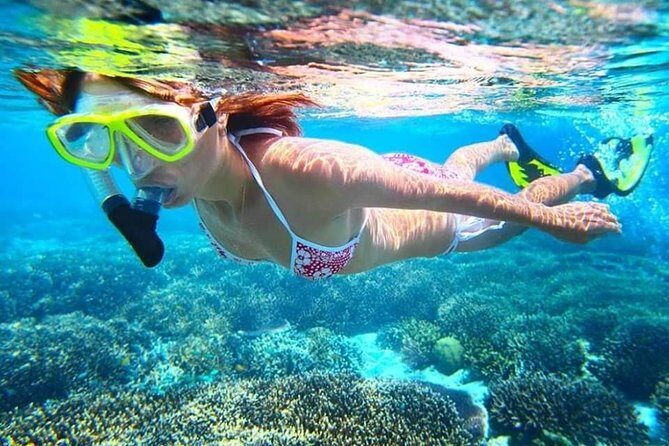 Blue Lagoon Paradise Snorkeling Tour - Key Points