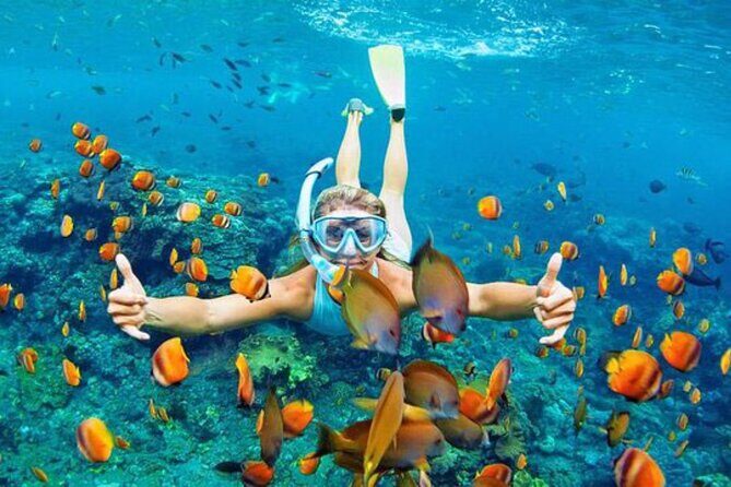 Blue Lagoon & Tanjung Jepun Snorkeling Private Tour - An In-Depth Look at the Tour Experience