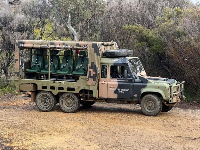 Blue Mountains 90 Minute Army Truck Adventures - Itinerary Breakdown: What to Expect