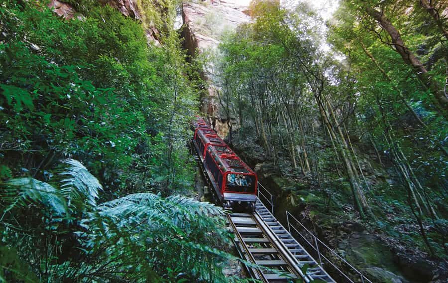 Blue Mountains Adventure: Scenic World, Zoo & Koala Photo - Scenic World: Rides and Views