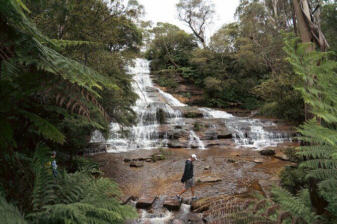 Blue Mountains Adventure w Scenic World, Zoo, Koala Photo & Ferry - The Practicalities: Transportation, Timing, and Value