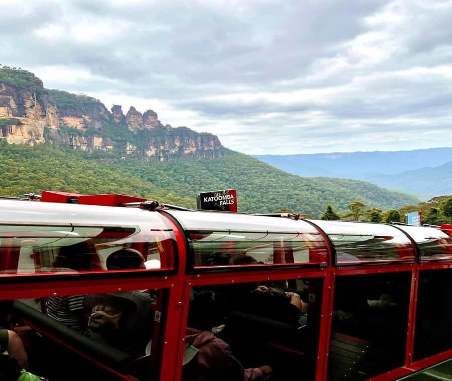 Blue Mountains Adventure: Wild Boar Rock & Cable Car - What You Gain: The Value of This Tour