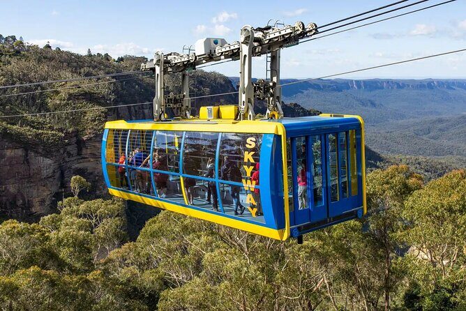 Blue Mountains Day Tour -Scenic World, Koalas & Roos (15 ppl LUX) - Who Will Love This Tour?