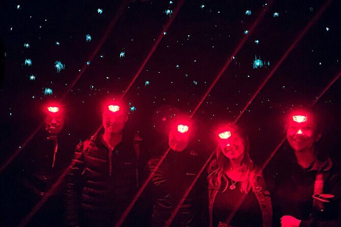 Blue Mountains Hiking Glow worms Cave Wildlife Spotlighting Night Adventure - Final Thoughts: Who Will Love This?